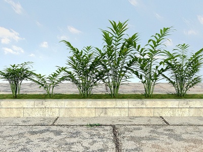 花草植物模型3d模型