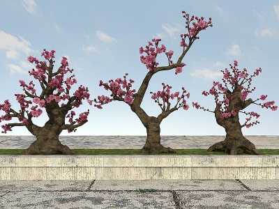 大树植物模型3d模型