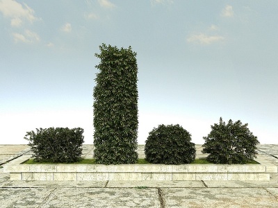 景观绿化观赏植物模型3d模型