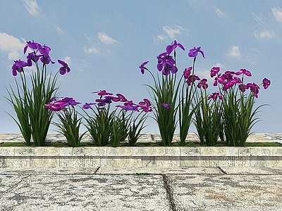 3d景观开花植物模型