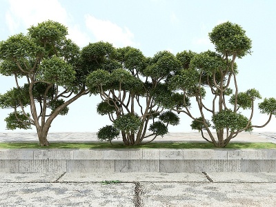 景观绿化观赏植物模型3d模型