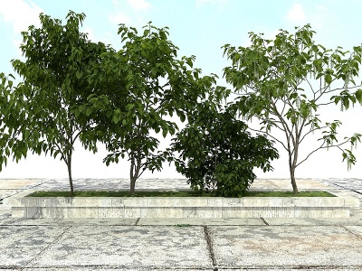 3d景观绿化观赏植物模型