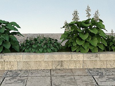 花草景观植物模型
