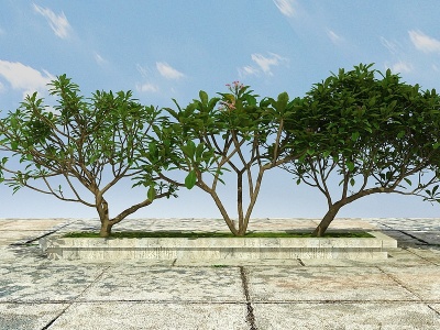 3d景观树开花植物模型
