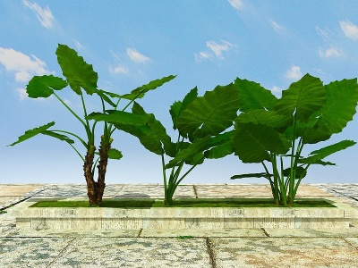 3d室内外景观植物模型