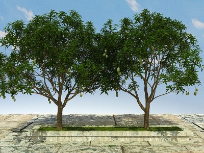 果树植物模型
