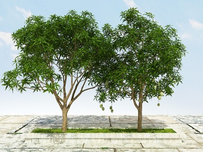 果树植物模型
