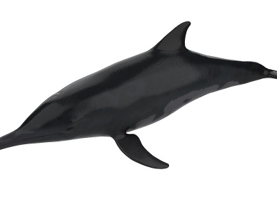 海豚3d模型