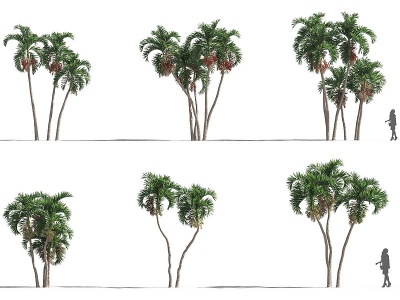 3d现代植物树木圣诞椰模型