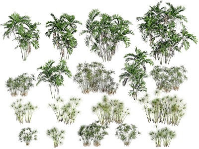 3d<font class='myIsRed'>现代植物</font>树木模型
