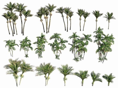 3d现代植物花草模型