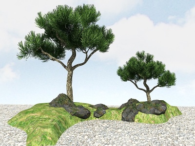景观植物黑松模型