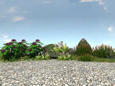 景观植物模型