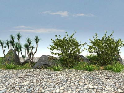 3d常绿景观植物模型