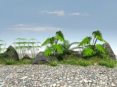 3d常绿景观植物模型