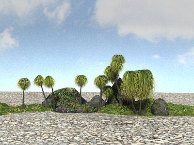 3d热带植物模型