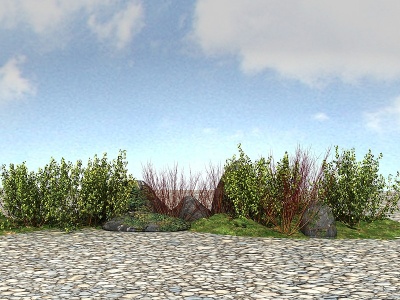 3d景观灌木植物模型