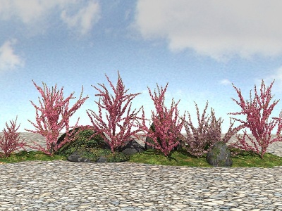 景观灌木植物模型
