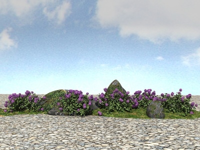 景观灌木植物模型3d模型