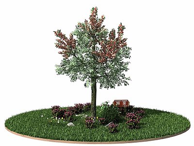 3d栾树模型