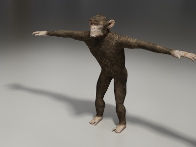 3d长臂猿模型