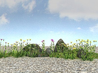 3d景观植物模型滨菊模型