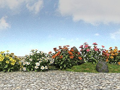 3d景观植物模型百日菊模型