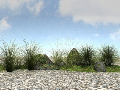 3d景观植物模型斑叶芒模型