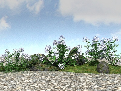 3d景观植物模型蓝雪花模型