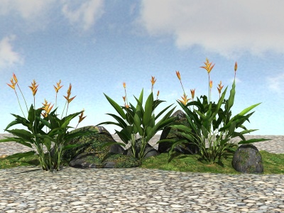 3d景观植物模型<font class='myIsRed'>尾</font>蕉模型