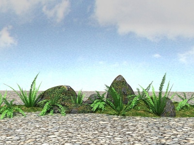 3d景观植物肾蕨模型
