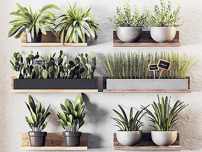 现代挂墙植物模型3d模型