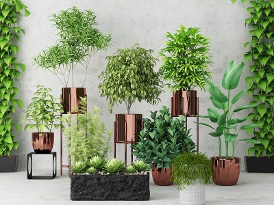 3d现代绿植摆件模型