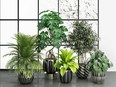 3d现代绿植盆栽摆件绿植组合模型