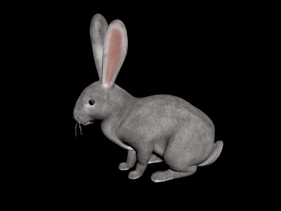 兔子模型3d模型