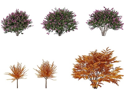 现代户外景观树模型3d模型