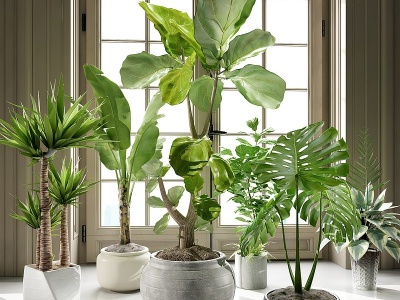 3d现代植物盆栽现代饰品摆件模型