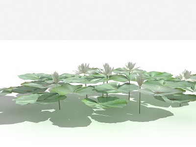 3d中式睡莲模型