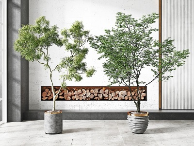 现代绿植盆栽3d模型