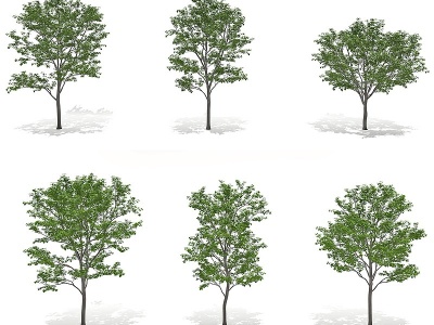 3d<font class='myIsRed'>现代景观树</font>模型
