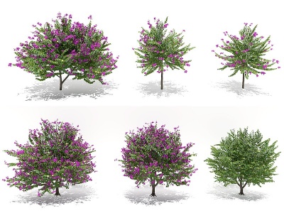 3d现代户外景观树模型
