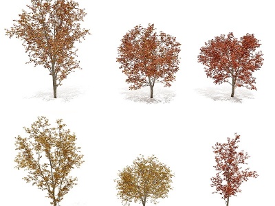 3d现代秋季景观树模型