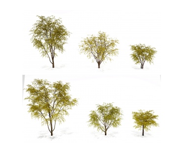 3d现代秋季柳树景观树模型