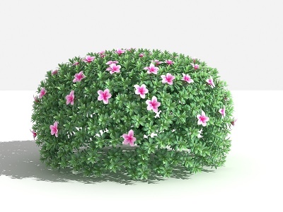 3d杜鹃球灌木树模型