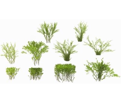 3d现代<font class='myIsRed'>绿化灌木</font>模型