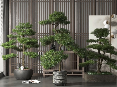 3d新中式绿植盆栽组合模型