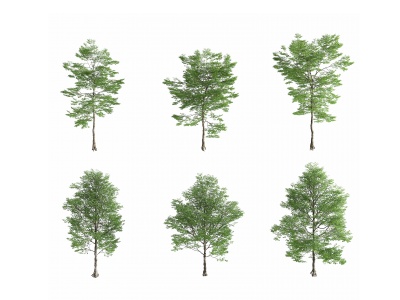 现代景观树,模型3d模型
