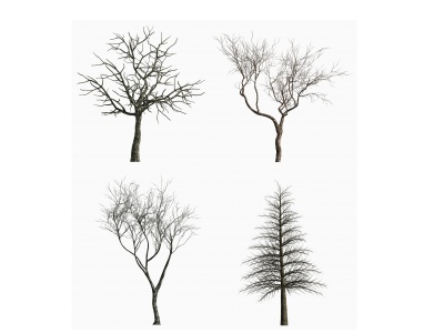 3d现代景观树枯木模型