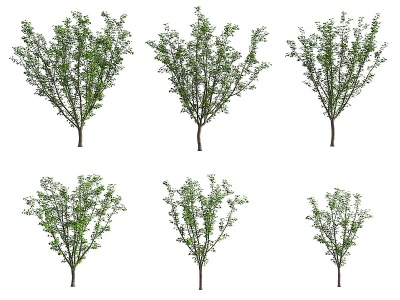 3d现代东京<font class='myIsRed'>樱花</font>树模型