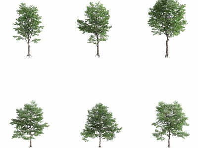 3d现代<font class='myIsRed'>景观树</font>模型
